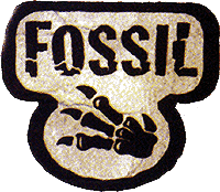 Lista carte Fossil