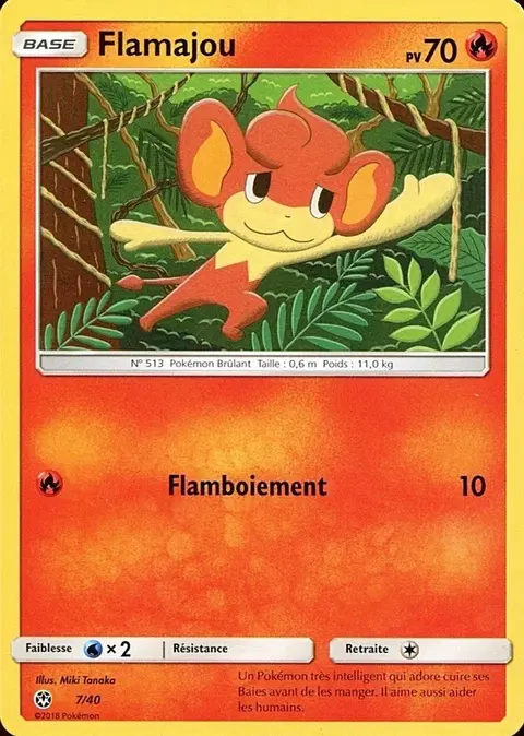Pansear