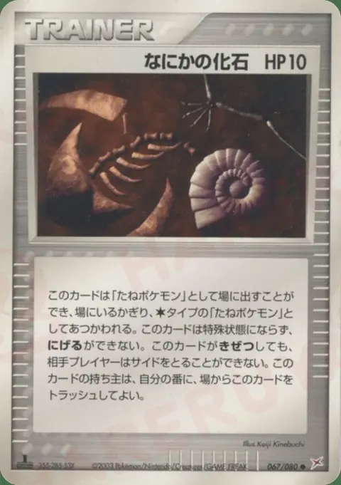 Mysterious Fossil