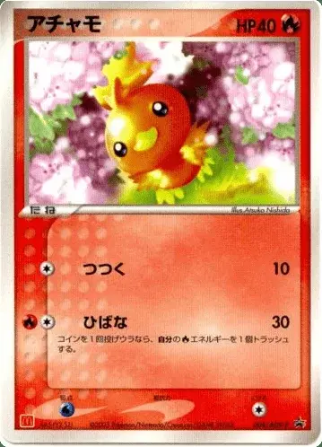 Torchic