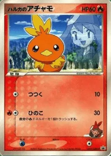 May’s Torchic