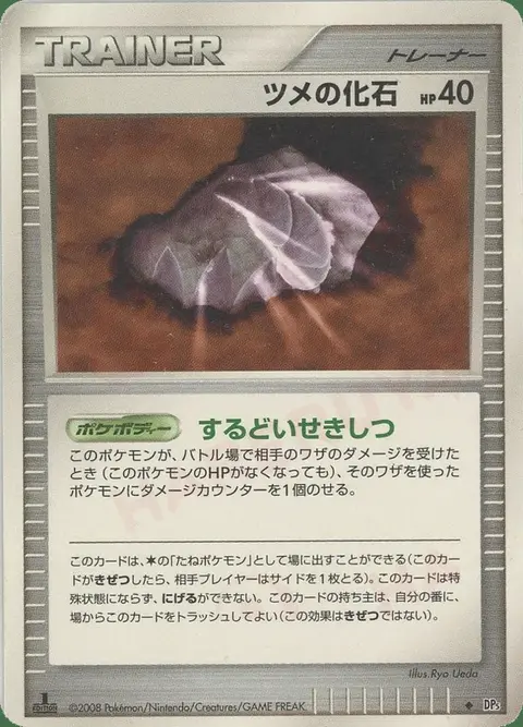 Scurartigli Fossil