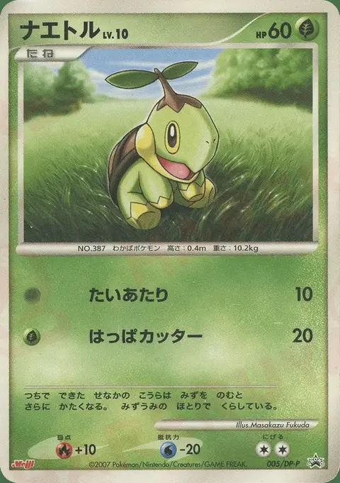Turtwig