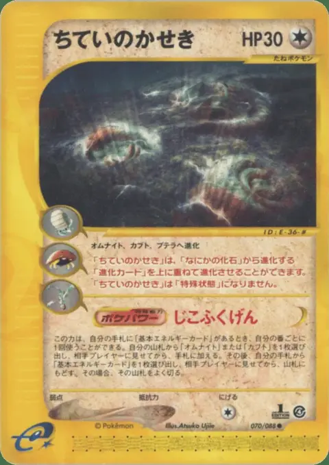 Buried Fossil