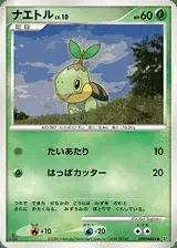 Turtwig
