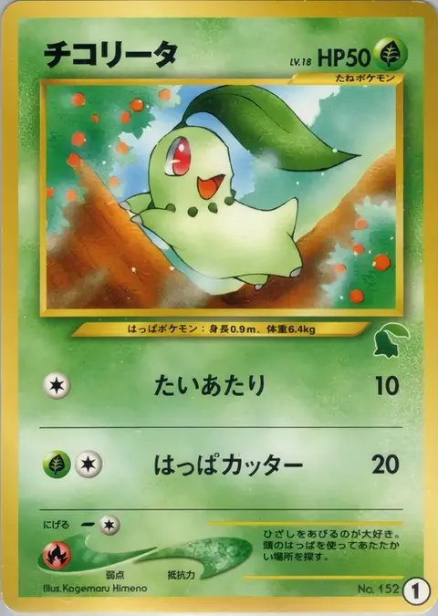 Chikorita 1