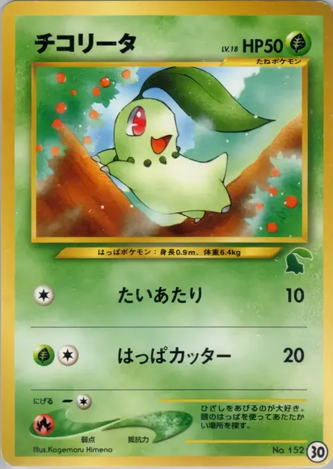 Chikorita 30