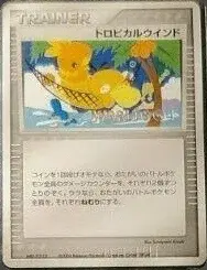 Tropical Wind