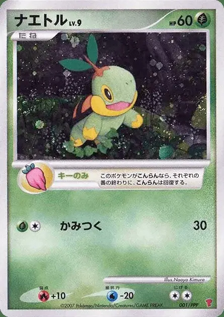 Turtwig