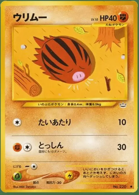 Swinub