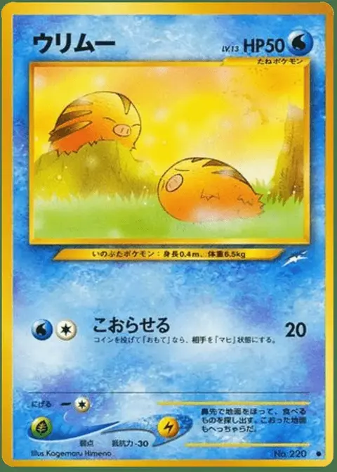 Swinub
