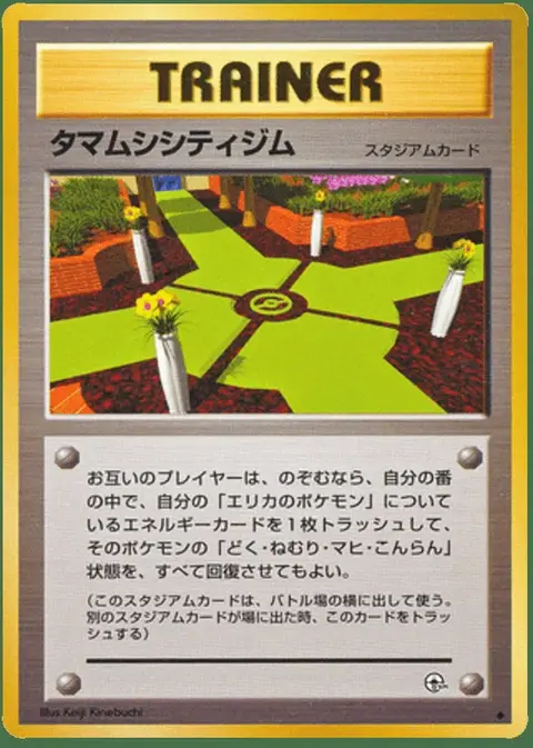 Celadon Città Oscura Gym