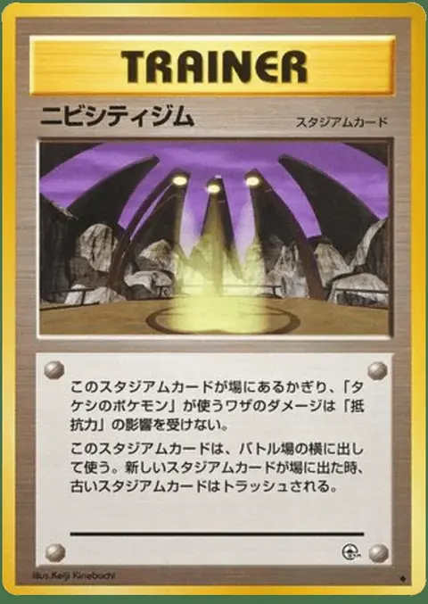 Pewter Città Oscura Gym
