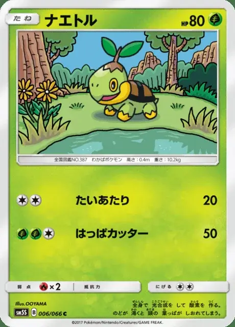 Turtwig