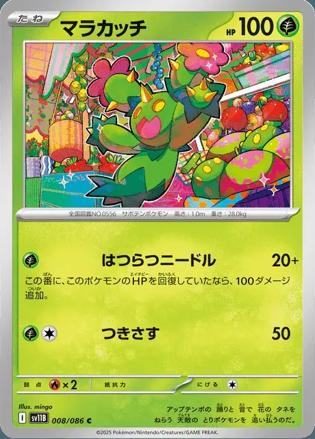 Maractus