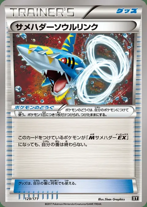 Sharpedo Spirit Link