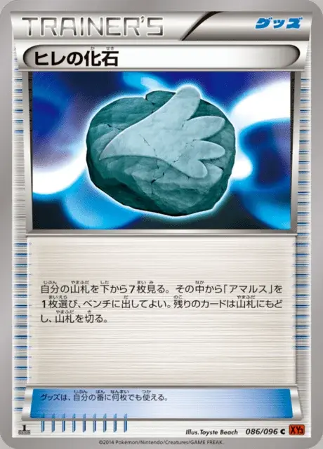 Fossilpinna