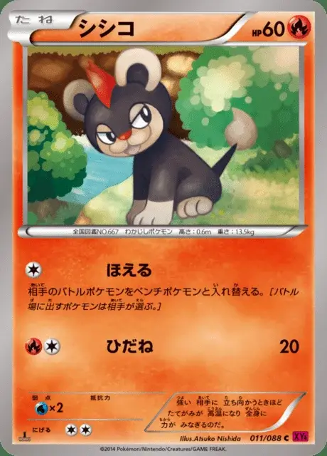 Litleo