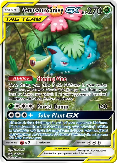 Venusaur e Snivy GX