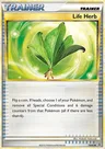 Erba Vita