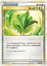 Erba Vita