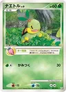 Turtwig