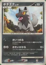 Poochyena