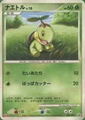 Turtwig