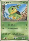 Turtwig