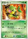 Turtwig