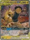 Pikachu & Ishihara GX
