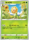 Sunflora