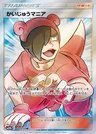 Pokéfanatico