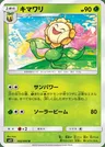 Sunflora