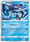 Tapu Fini
