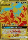 Moltres-TAG TEAM-GX