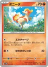 Ponyta