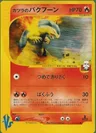 Typhlosion