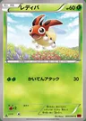 Ledyba